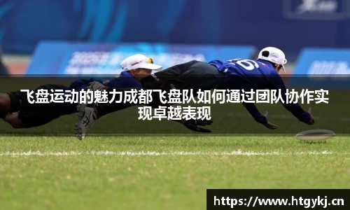BSports官网入口